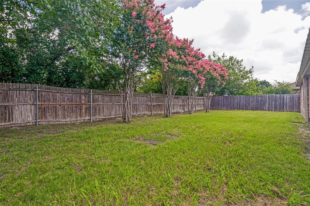 3111 Creekside Drive Sachse, TX 75048 - Photo 23 of 25 Spacious backyard featuring a wood privacy fence, established crape myrtle trees with pink blooms, and a brick exterior wall