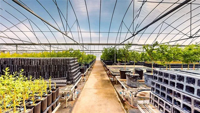 a view of balcony with a potted plant