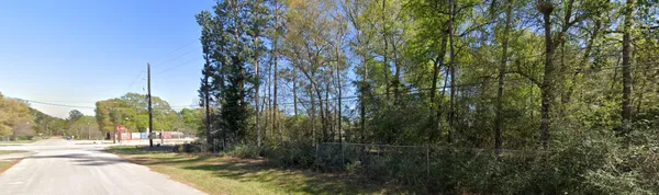 a view of a yard with plants and trees