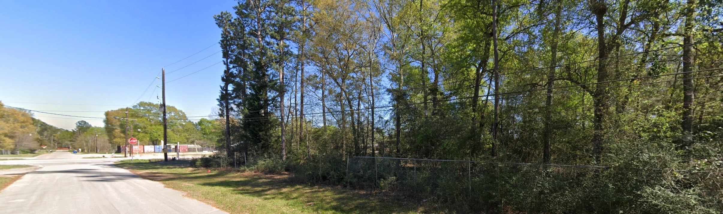 0 Strausie Lane Conroe, TX 77302 - Photo 2 of 4 View from Strausie Ln