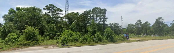 a view of a yard and a trees