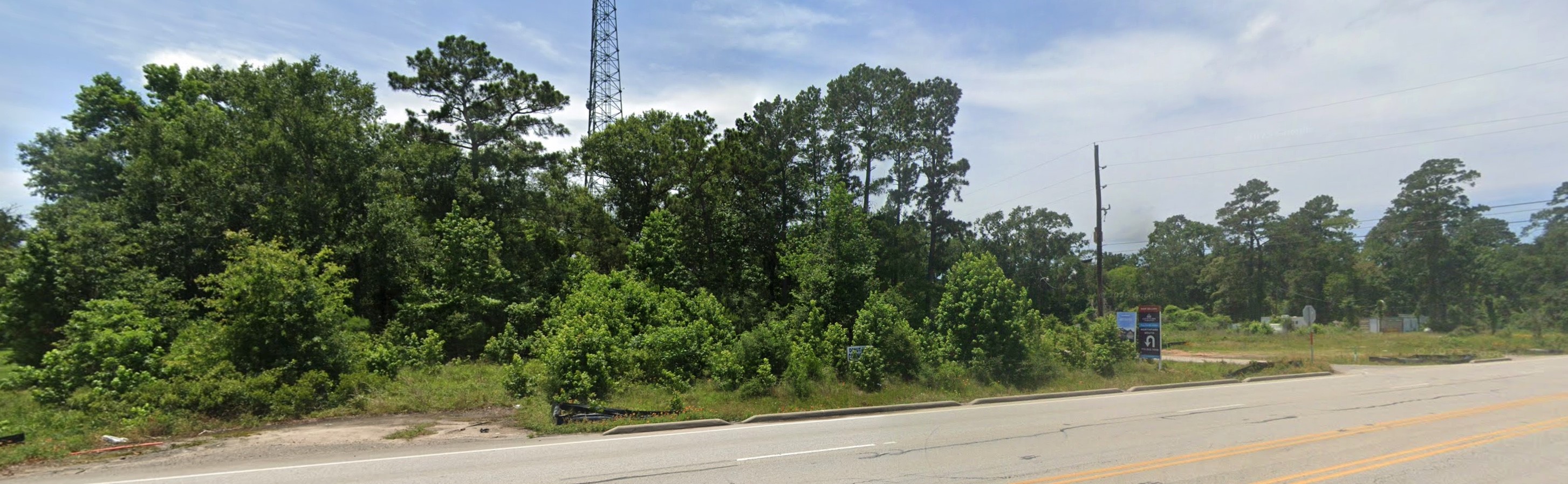 0 Strausie Lane Conroe, TX 77302 - Photo 3 of 4 View from Conroe Porter Rd