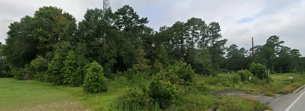 a view of a lush green forest with lots of trees