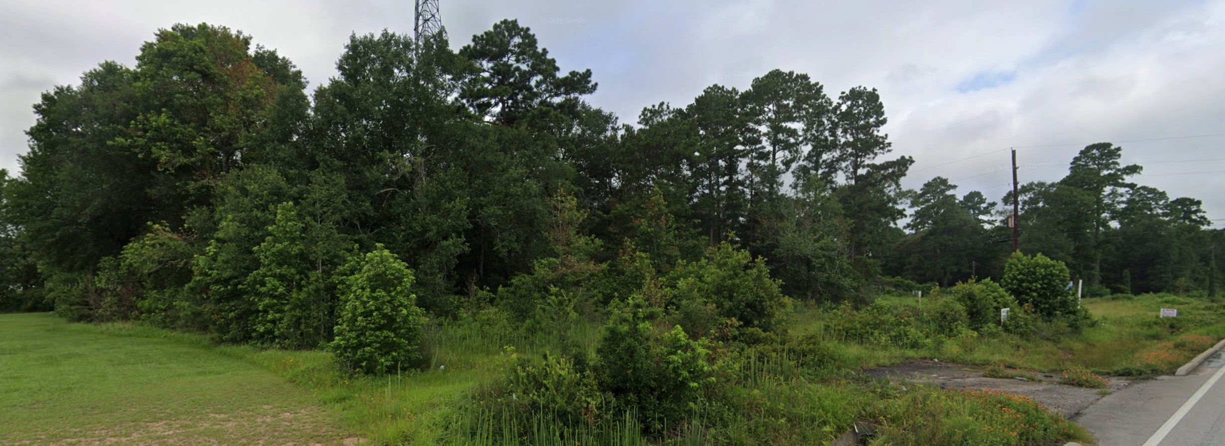 0 Strausie Lane Conroe, TX 77302 - Photo 4 of 4 View from Conroe Porter Rd