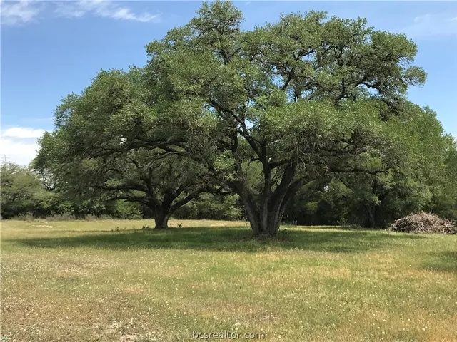 $867,750 | 6324 Highway 77, La Grange, TX 78945