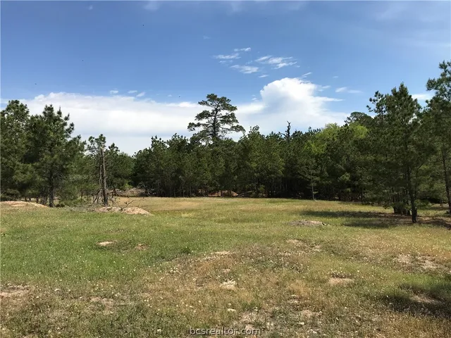 $867,750 | 6324 Highway 77, La Grange, TX 78945