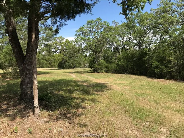 $867,750 | 6324 Highway 77, La Grange, TX 78945