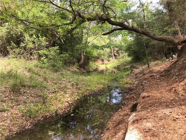 $867,750 | 6324 Highway 77, La Grange, TX 78945