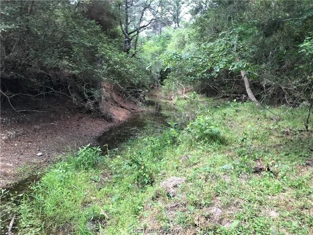 $867,750 | 6324 Highway 77, La Grange, TX 78945