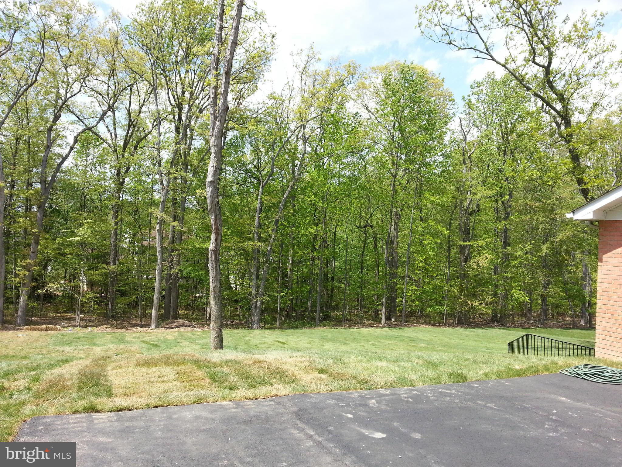 3802 Russell Road Woodbridge, VA 22192 - Photo 4 of 21 View