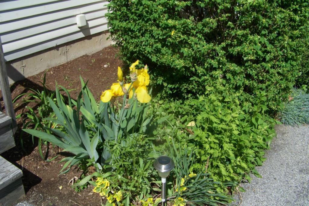 128 Mayo Road, Unit P Hampden, ME 04444 - Photo 34 of 34 Front yard. All landscaping,...