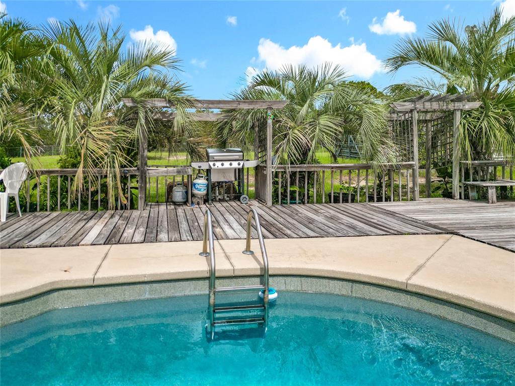 22163 Southwest Edgewater Boulevard Dunnellon, FL 34431 - Photo 66 of 78 a view of swimming pool with a patio