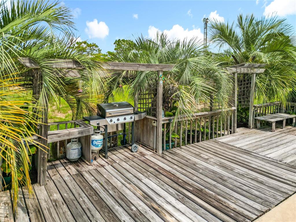 22163 Southwest Edgewater Boulevard Dunnellon, FL 34431 - Photo 68 of 78