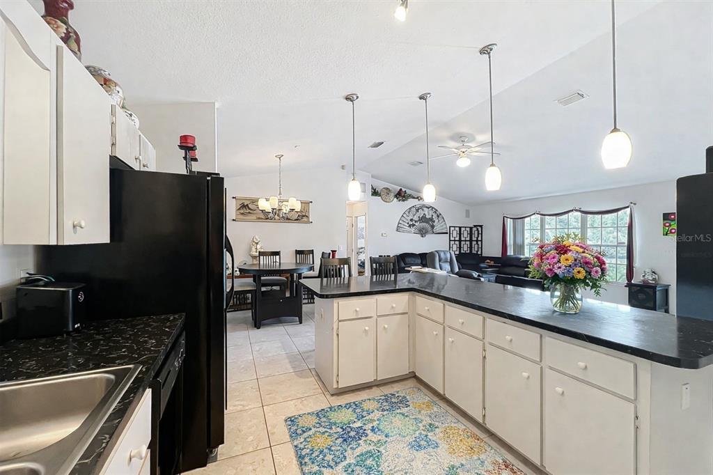 22163 Southwest Edgewater Boulevard Dunnellon, FL 34431 - Photo 8 of 78