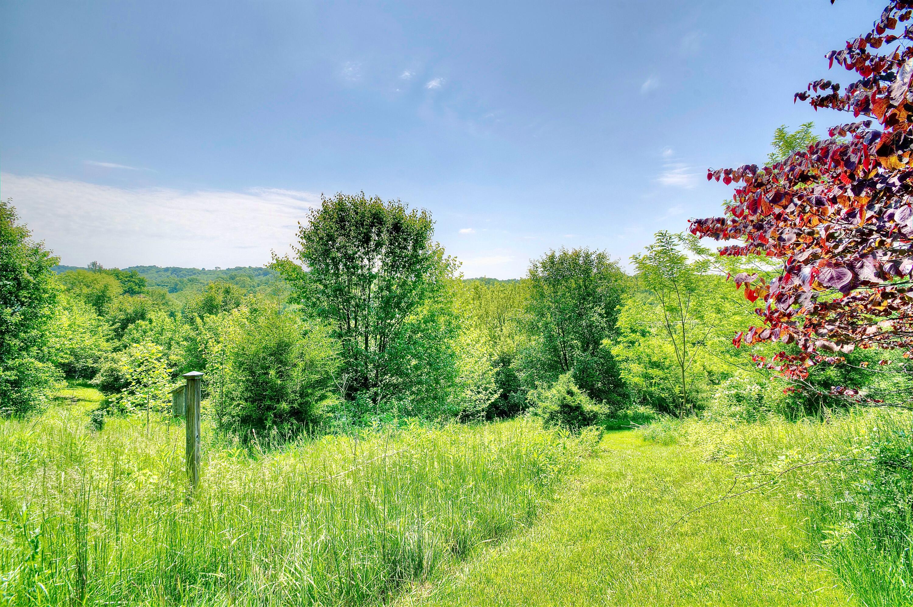 4670 Belleview Road Petersburg, KY 41080 - Photo 46 of 50