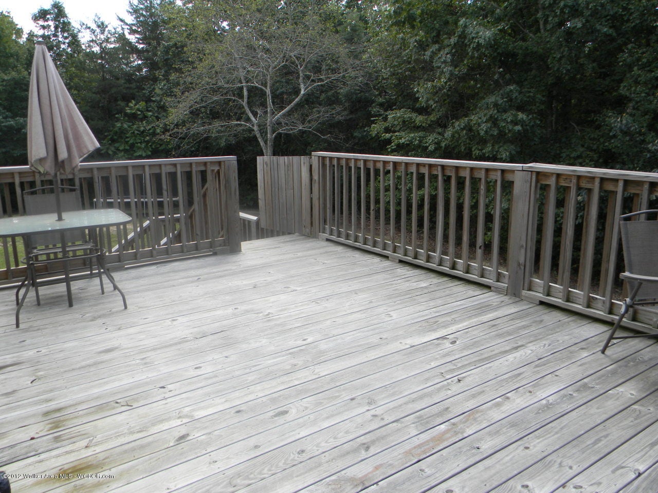 45 Dare Road Phil Campbell, AL 35581 - Photo 7 of 10 Gallery Image 7