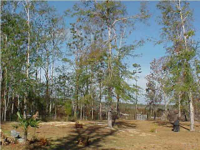 5010 Settle Road Molino, FL 32577 - Photo 4 of 6 Gallery Image 4