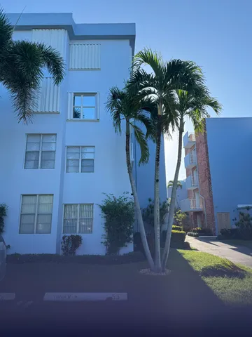 a palm tree sitting in front of a building