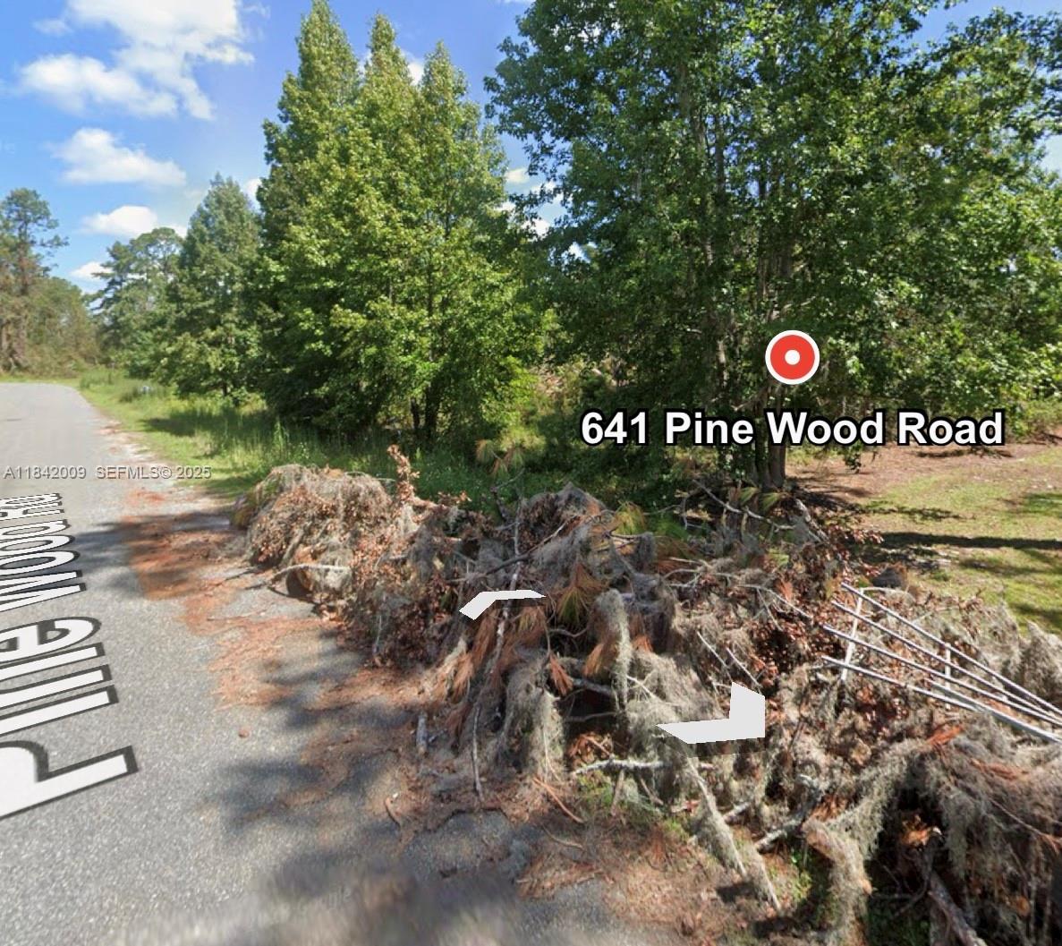 641 Pine Wood Road Jasper, FL 32052 - Photo 3 of 4 a view of street