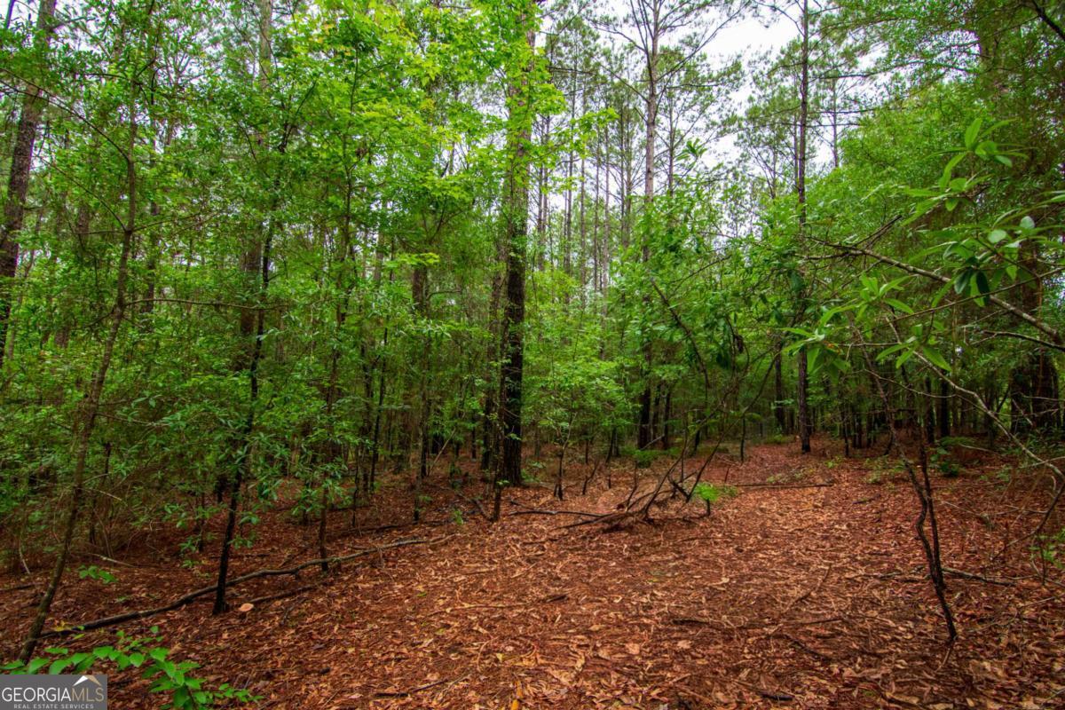 0 White Road Pine Mountain, GA 31822 - Photo 8 of 22 Gallery Image 8