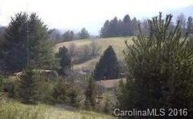 0 Abbott Moore Road Clyde, NC 28721 - Photo 4 of 4
