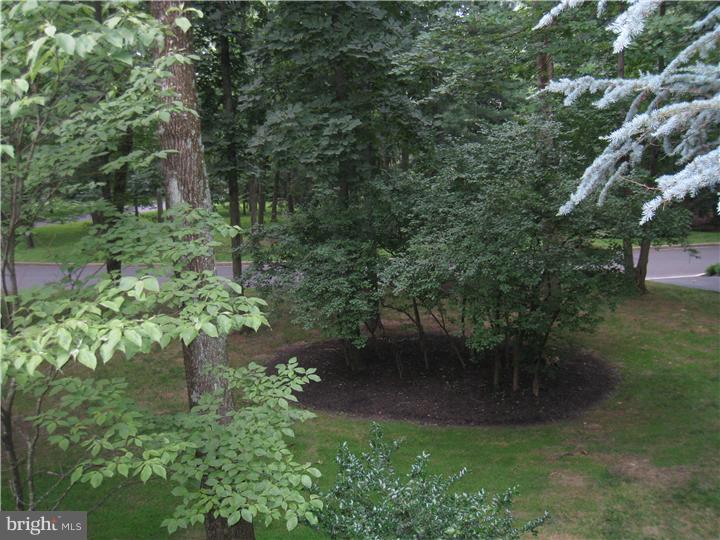 1501 Gypsy Hill Road Lower Gwynedd, PA 19002 - Photo 24 of 24 a backyard of a house with lots of green space