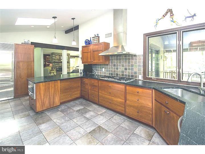 1501 Gypsy Hill Road Lower Gwynedd, PA 19002 - Photo 10 of 24 a kitchen with granite countertop a sink and a stove