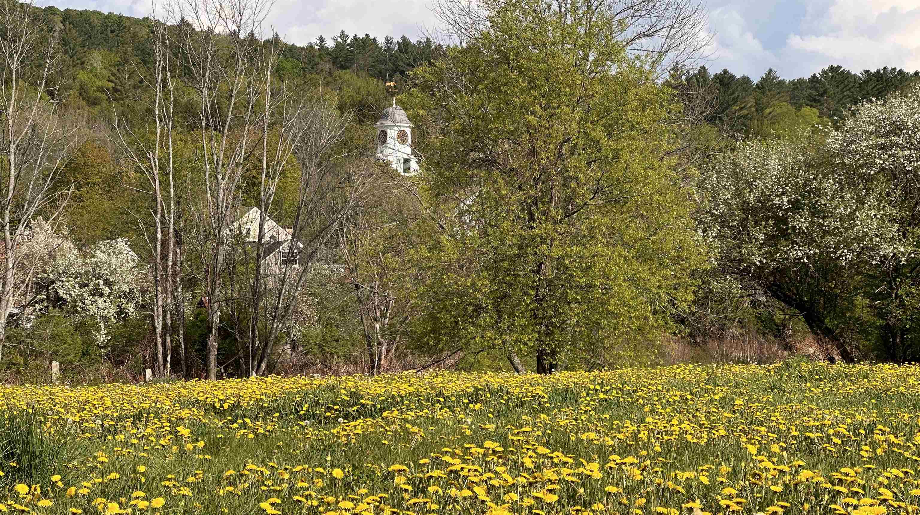 25 B Lawrence Hill Road Weston, VT 05161 - Photo 16 of 30