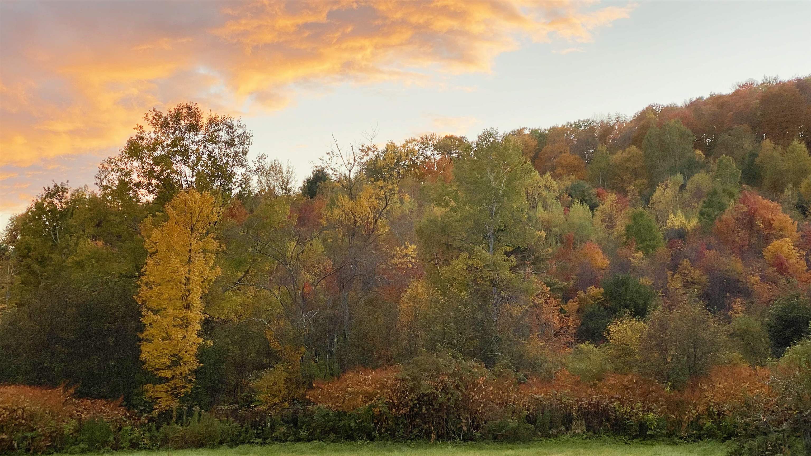 25 B Lawrence Hill Road Weston, VT 05161 - Photo 17 of 30