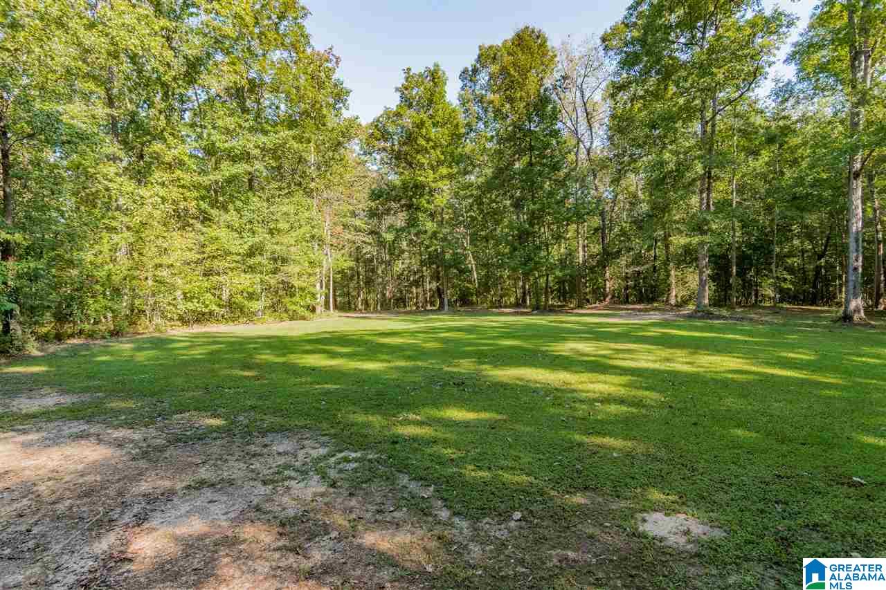 262 Highway 335 Chelsea, AL 35043 - Photo 47 of 49