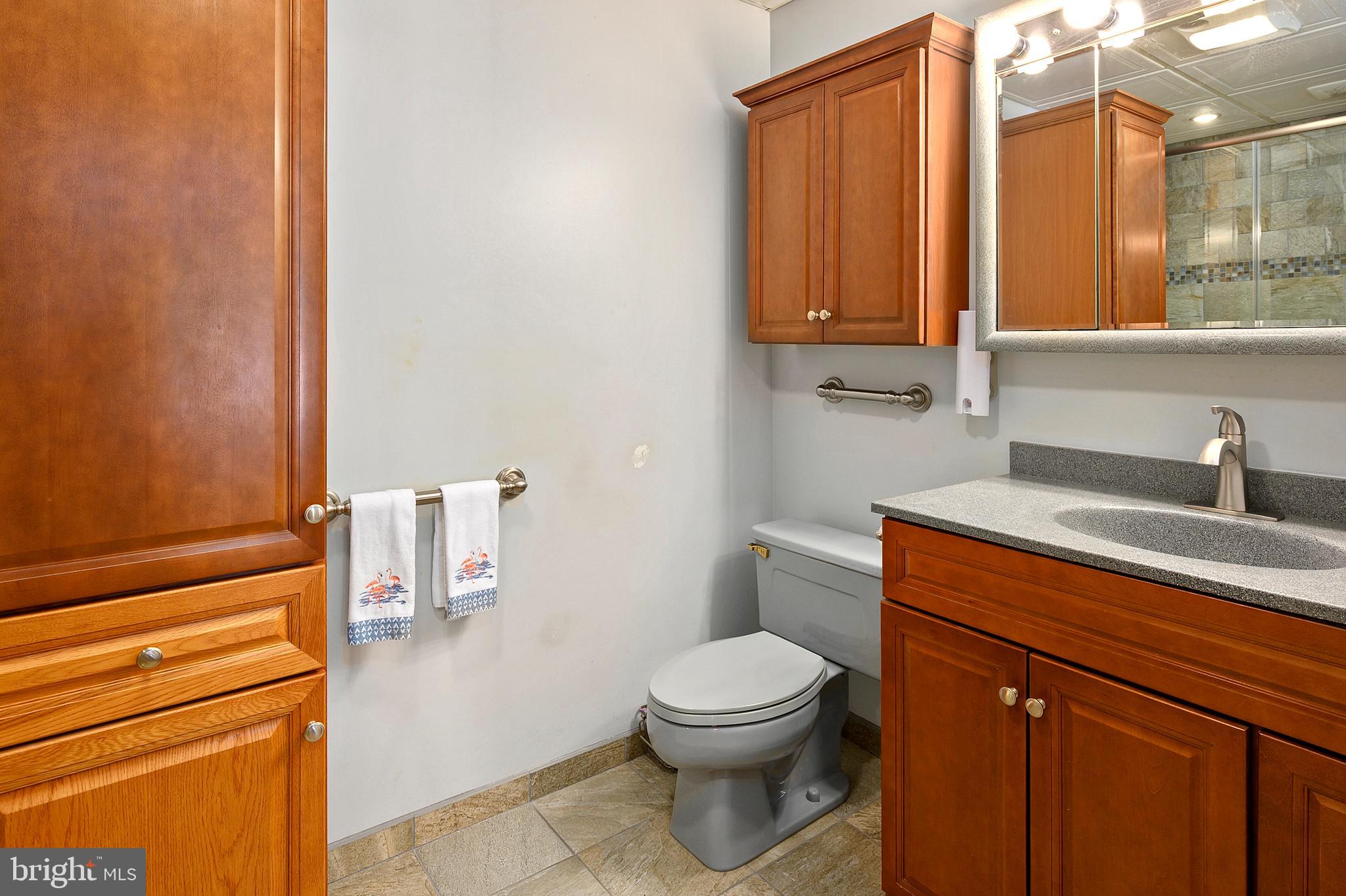294 Riverside Drive Pasadena, MD 21122 - Photo 34 of 66 Primary Bathroom