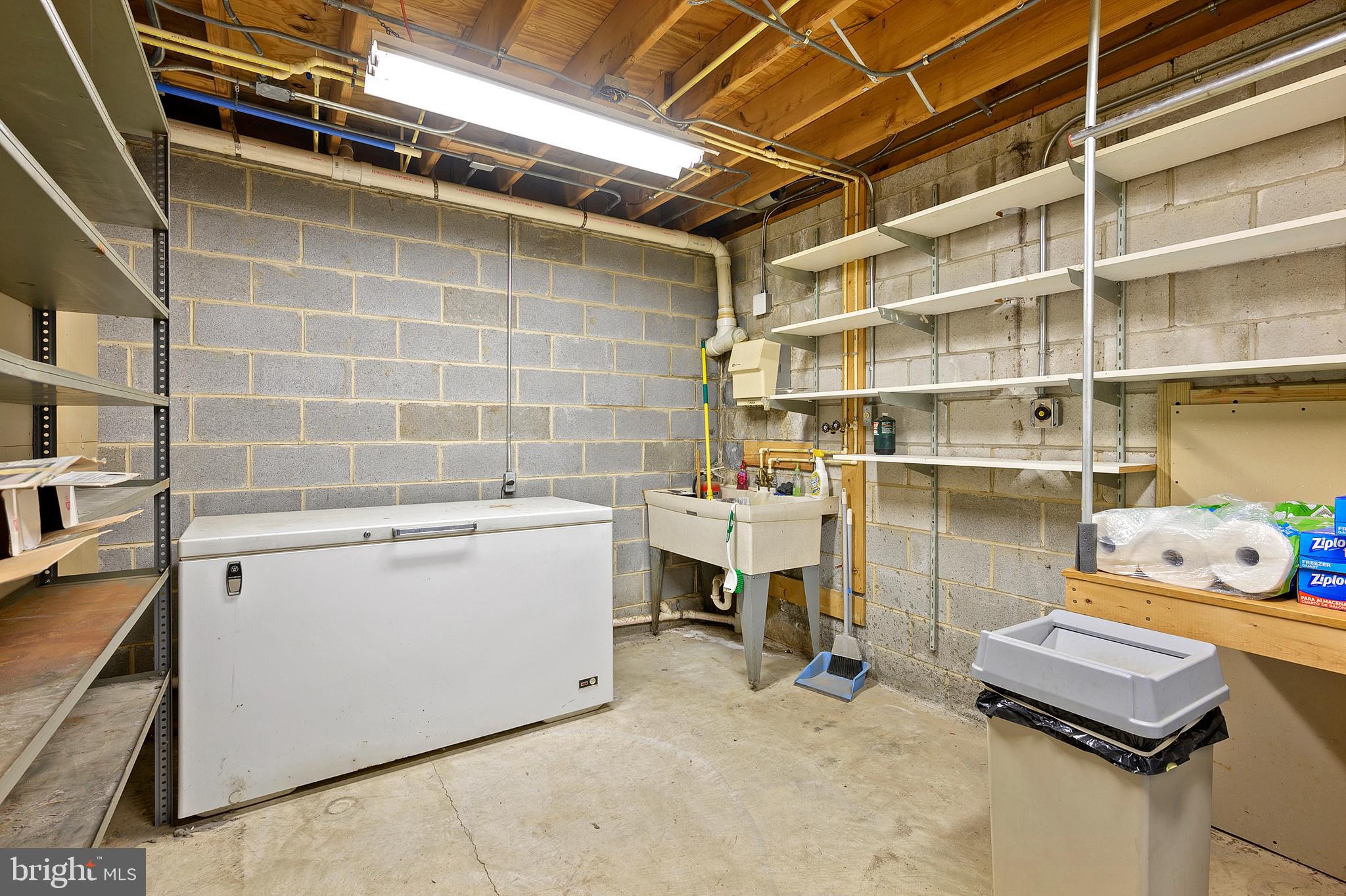 294 Riverside Drive Pasadena, MD 21122 - Photo 46 of 66 Basement Storage