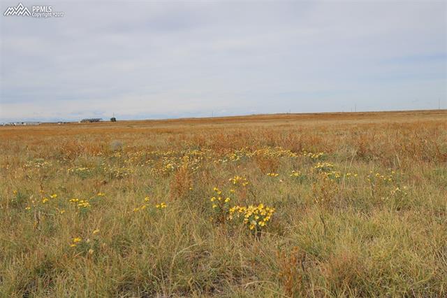 7850 South Rush Road Rush, CO 80833 - Photo 3 of 6 Towards rear of property looking towards southwest