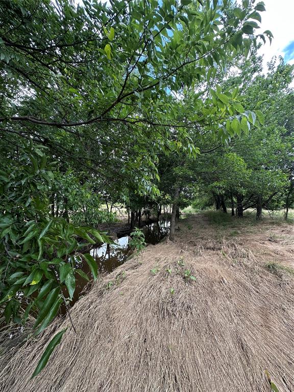Tbd Krahl Road Valley View, TX 76272 - Photo 10 of 23 Creek area