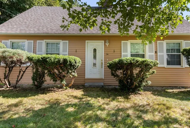 front view of house with potted plants