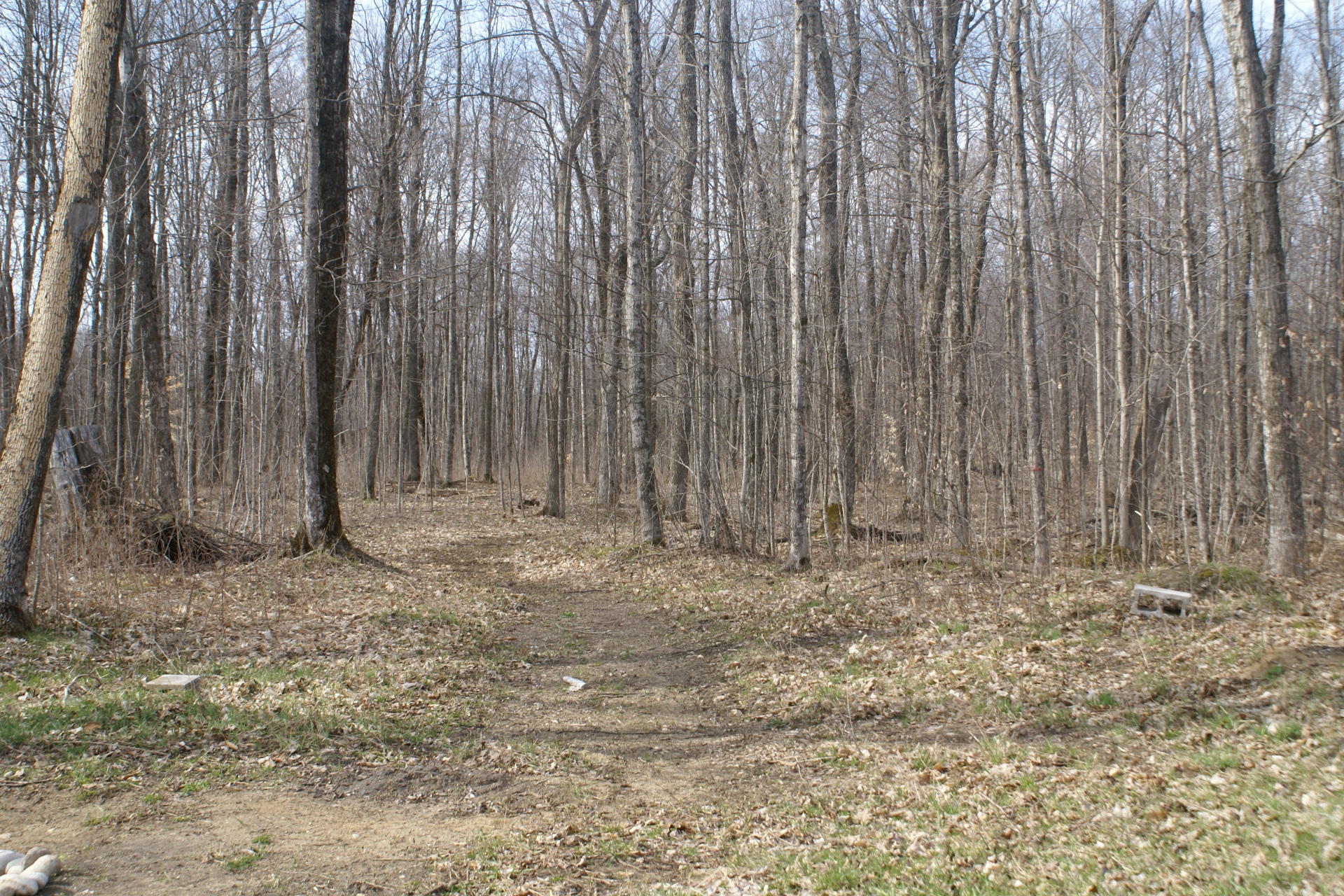 4044 Saint Ignace Road Hessel, MI 49745 - Photo 39 of 44 Gallery Image 39