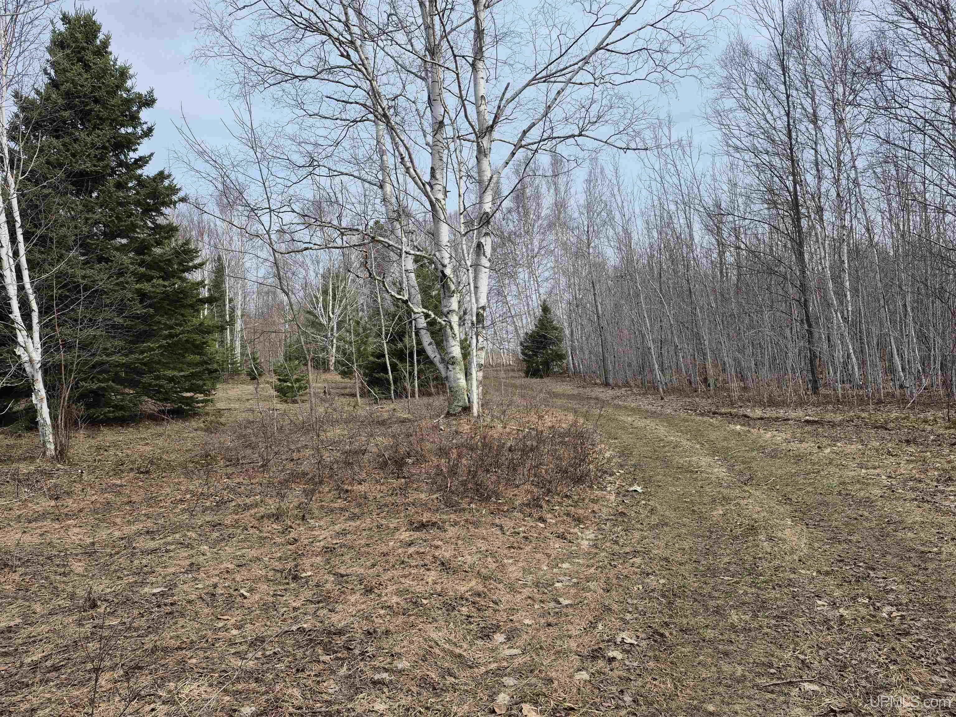 3754 Quarry Road Gulliver, MI 49840 - Photo 36 of 77