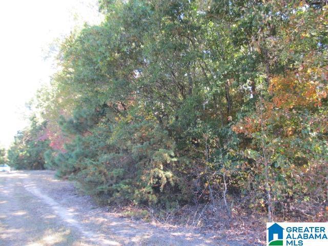 0 Avery Road Oneonta, AL 35121 - Photo 7 of 16