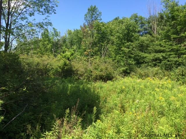 8 Turnbull Road Delanson, NY 12053 - Photo 1 of 1 Photo 1