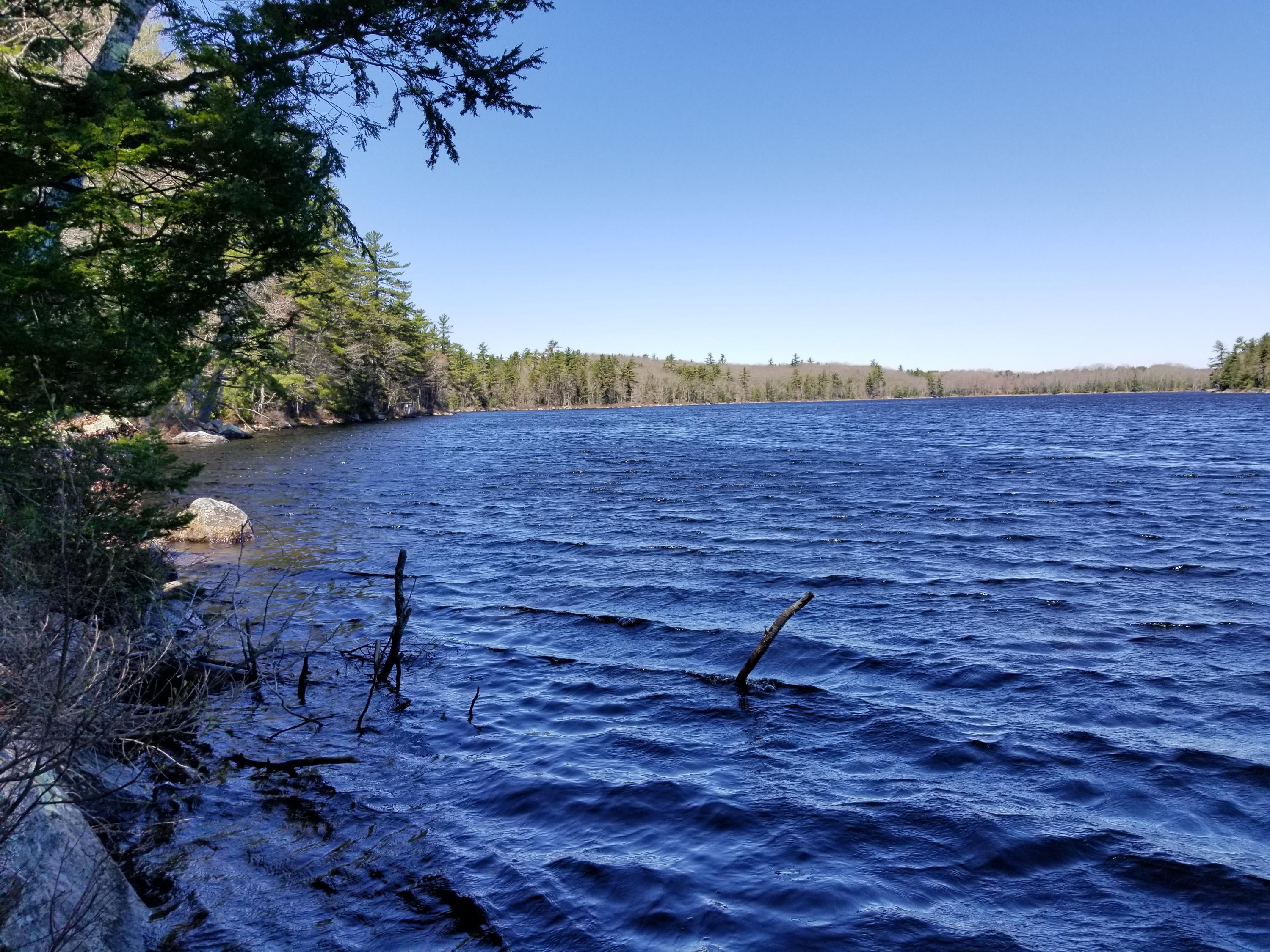 160 Southern Bay Road Penobscot, ME 04476 - Photo 47 of 62 47 Wight's pond