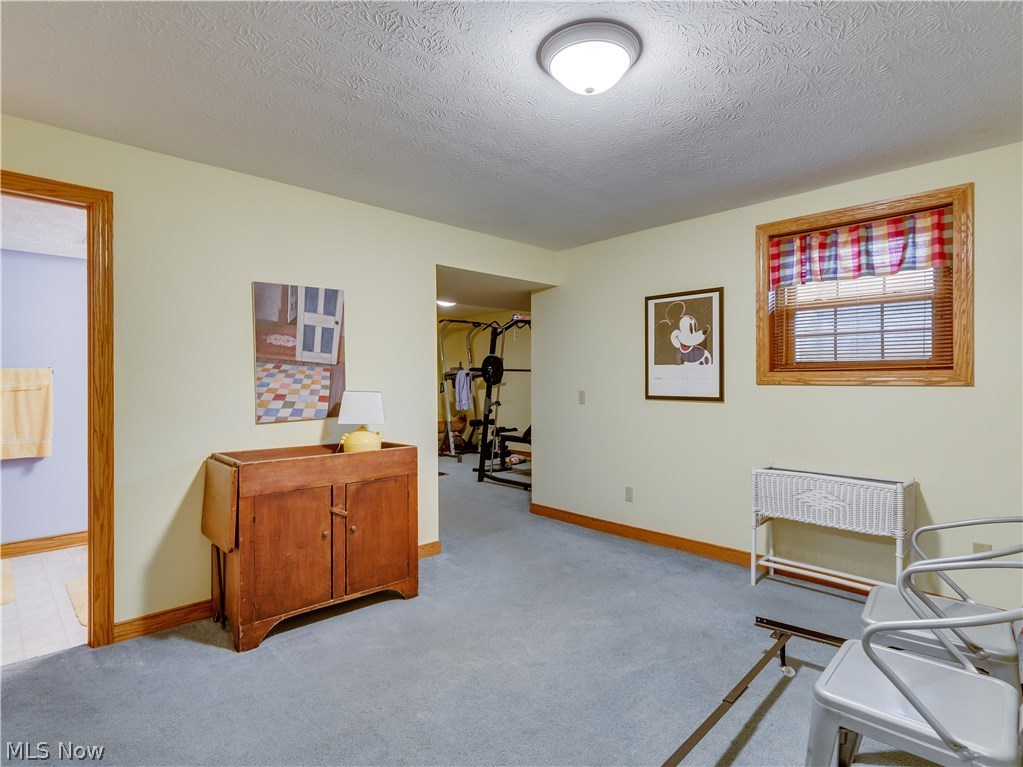 876 Hunter Ridge Circle Fairlawn, OH 44333 - Photo 28 of 35 5th Bedroom has carpet, egress window and it's own full bath