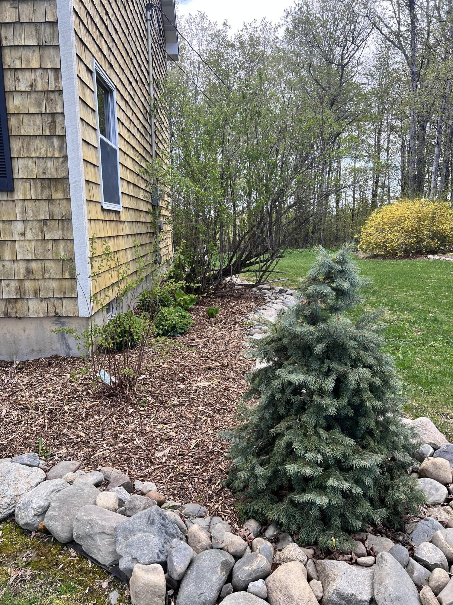 414 State Street Presque Isle, ME 04769 - Photo 15 of 46 IMG_4787