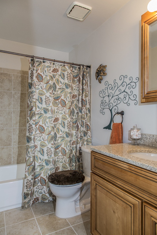 710 Heather Lane Bartlett, IL 60103 - Photo 15 of 26 a bathroom with a granite countertop toilet a sink and a shower