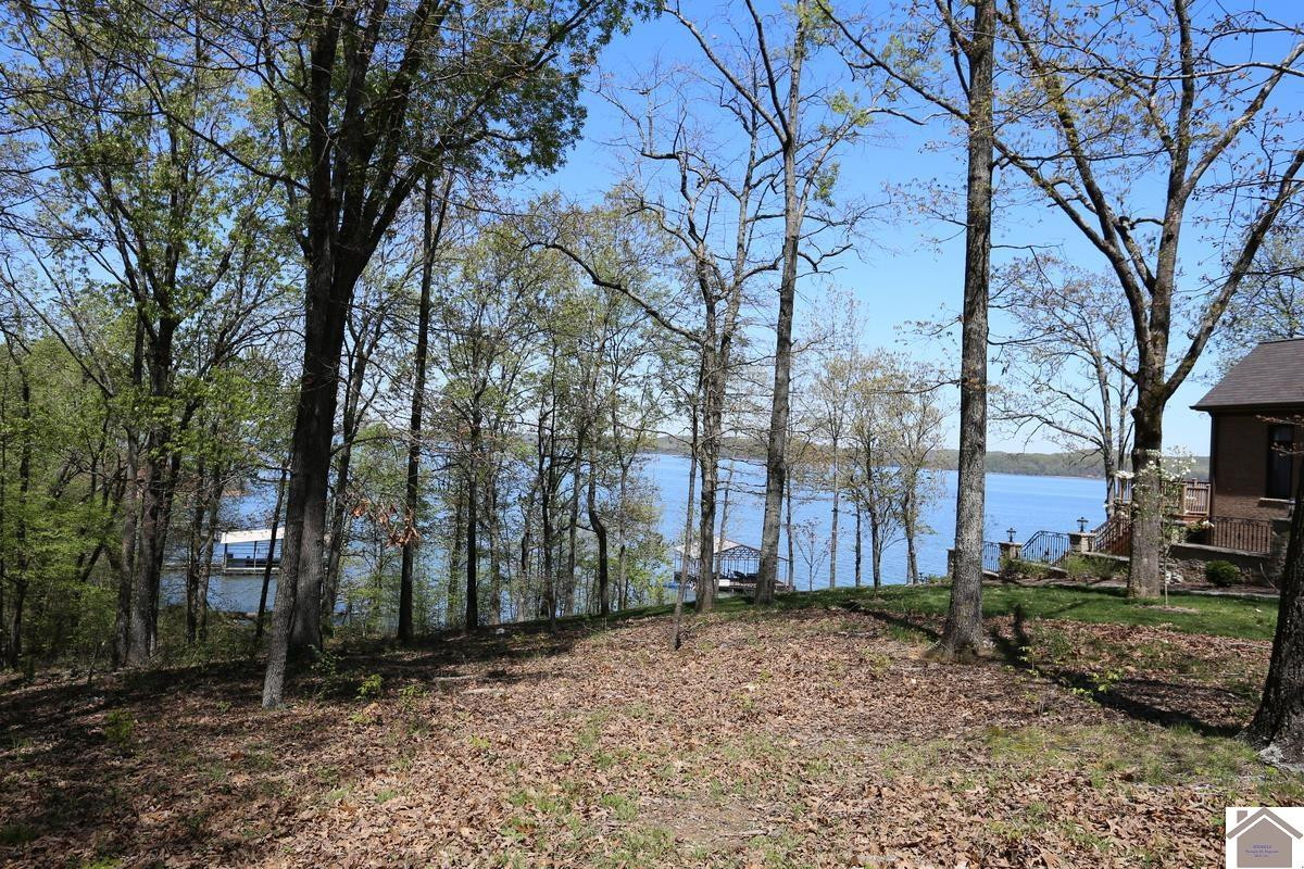Lot 8 Minnow Road, Unit 8 Murray, KY 42071 - Photo 1 of 1 Photo 1