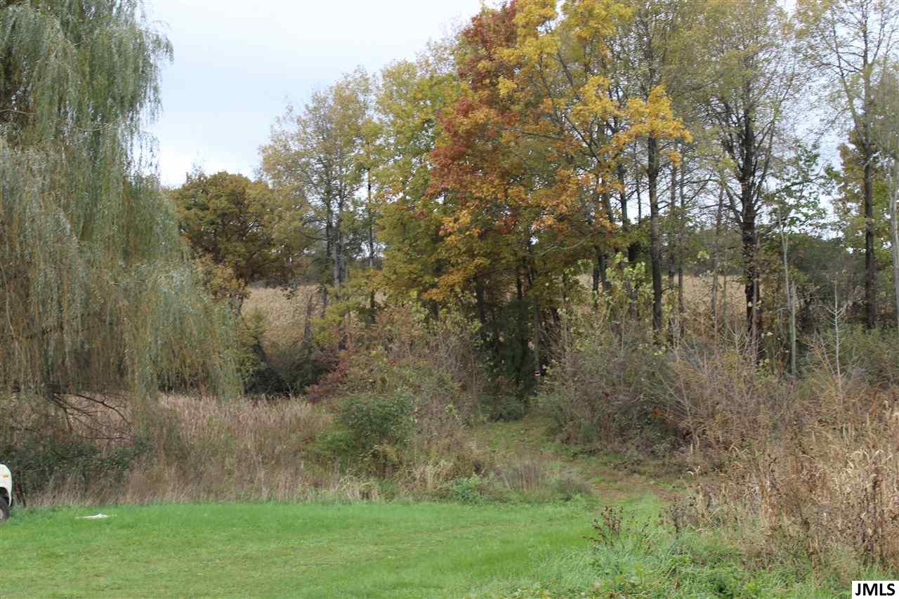 8576 South Jackson Road Cement City, MI 49233 - Photo 9 of 16 Photo 9