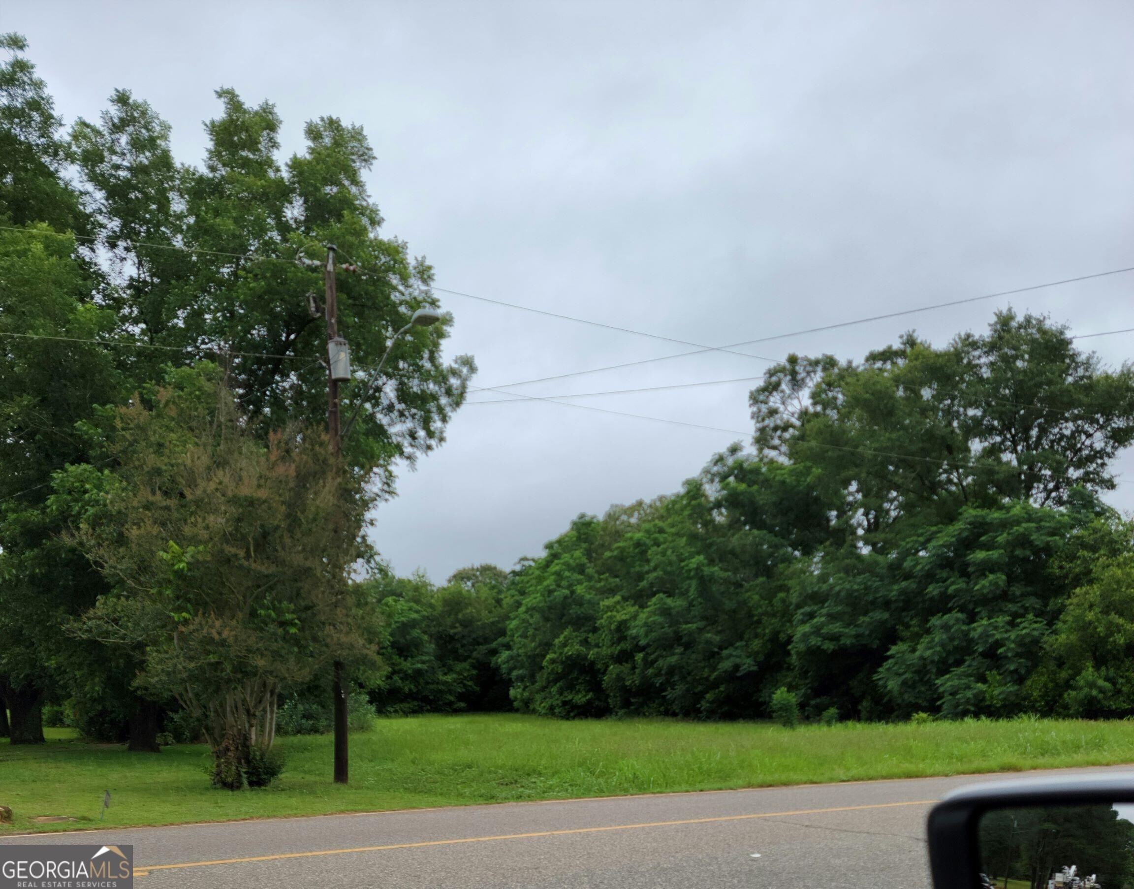 0 Southerfield Road Americus, GA 31719 - Photo 1 of 1 Southerfield rd view