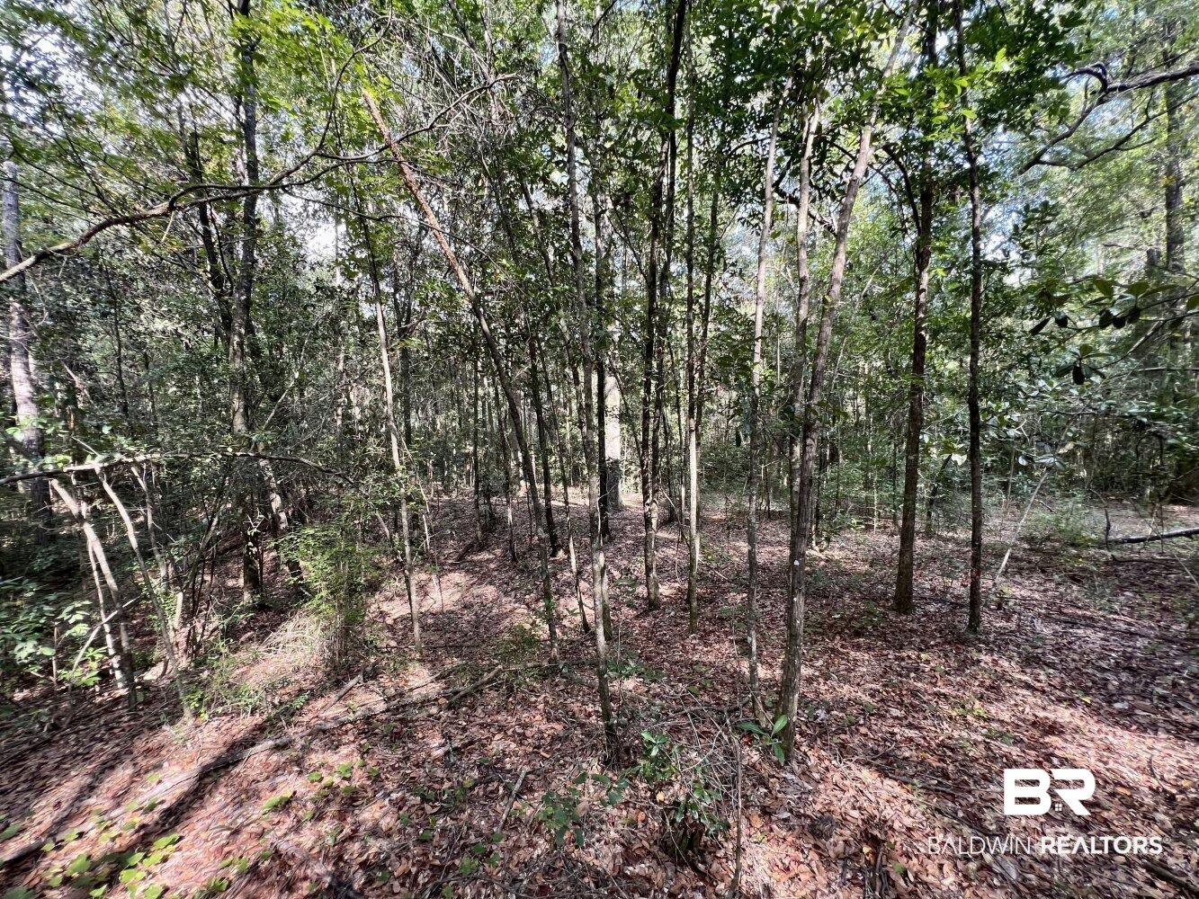 0 Bear Fork Road Mobile, AL 36618 - Photo 24 of 50