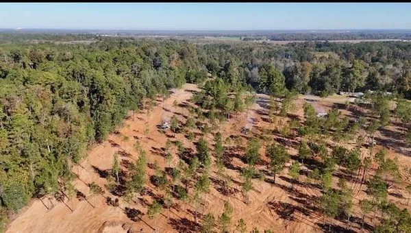 $275,000 | 56 Kisatchie (lot1) Lane, Boyce, LA 71409