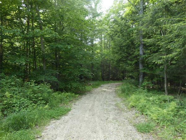 0 Barr Hill Road Huntington, MA 01050 - Photo 5 of 5 Gallery Image 5
