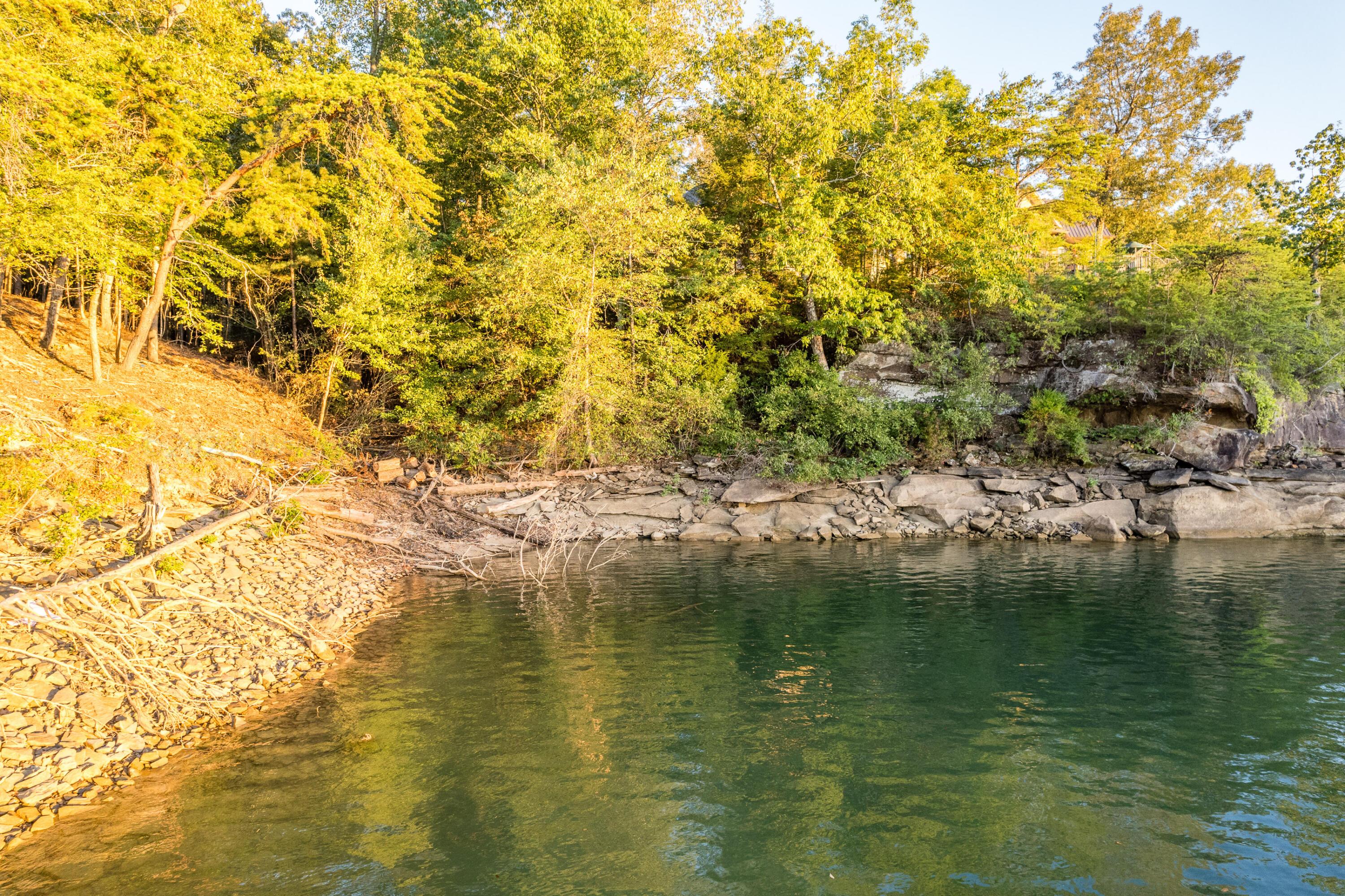 Lot 22 Pine Ridge Double Springs, AL 35553 - Photo 20 of 20 Gallery Image 20